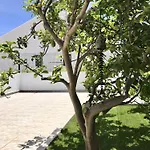 Casa Sagres *