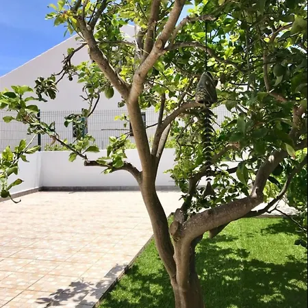 Casa Sagres Дом отдыха Вила-ду-Биспо